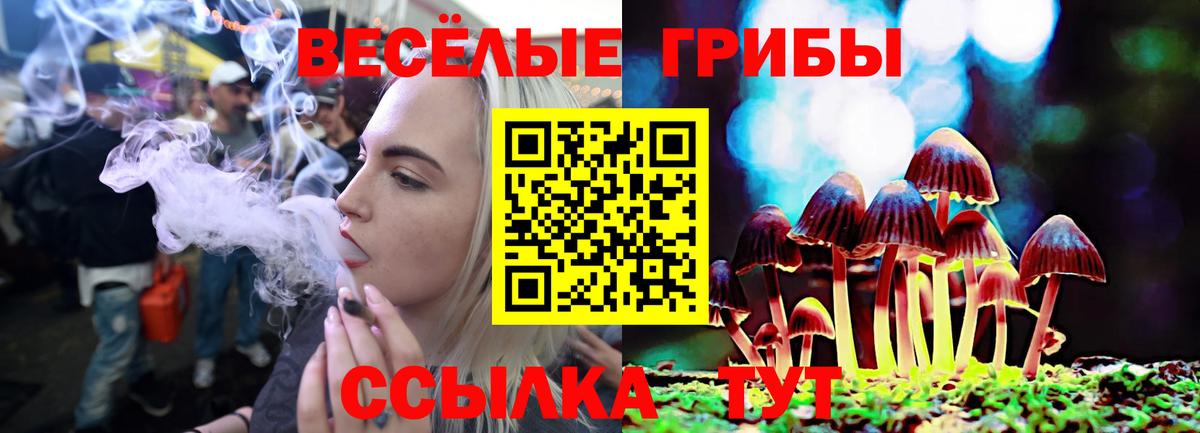 Псилоцибиновые грибы Cubensis  Вход с VPN  Туймазы 